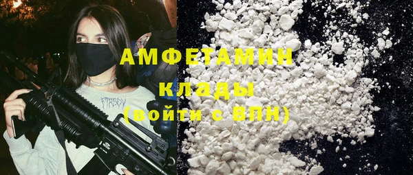 индика Кукмор