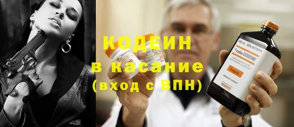 индика Кукмор