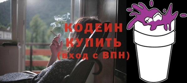 индика Кукмор