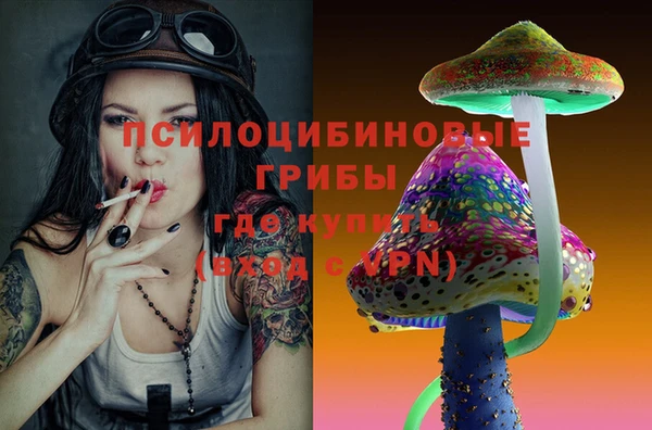 ешки Куйбышев