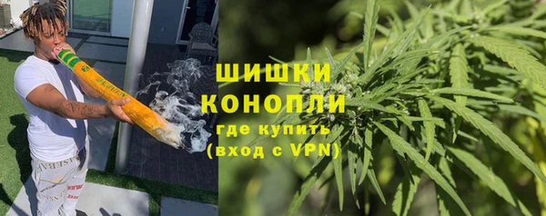 спиды Ладушкин
