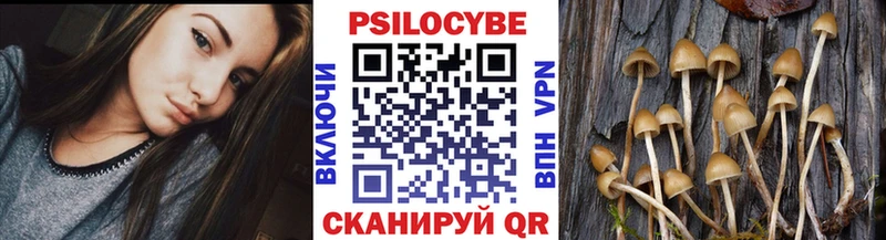Галлюциногенные грибы Psilocybe  Черемхово 